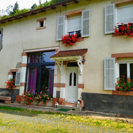 Apartamento Le Logis Aux Digitales La Croix-aux-Mines Exterior foto