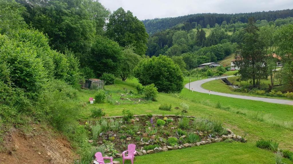 Apartamento Le Logis Aux Digitales La Croix-aux-Mines Exterior foto
