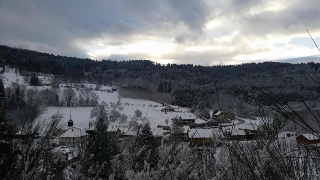 Apartamento Le Logis Aux Digitales La Croix-aux-Mines Exterior foto