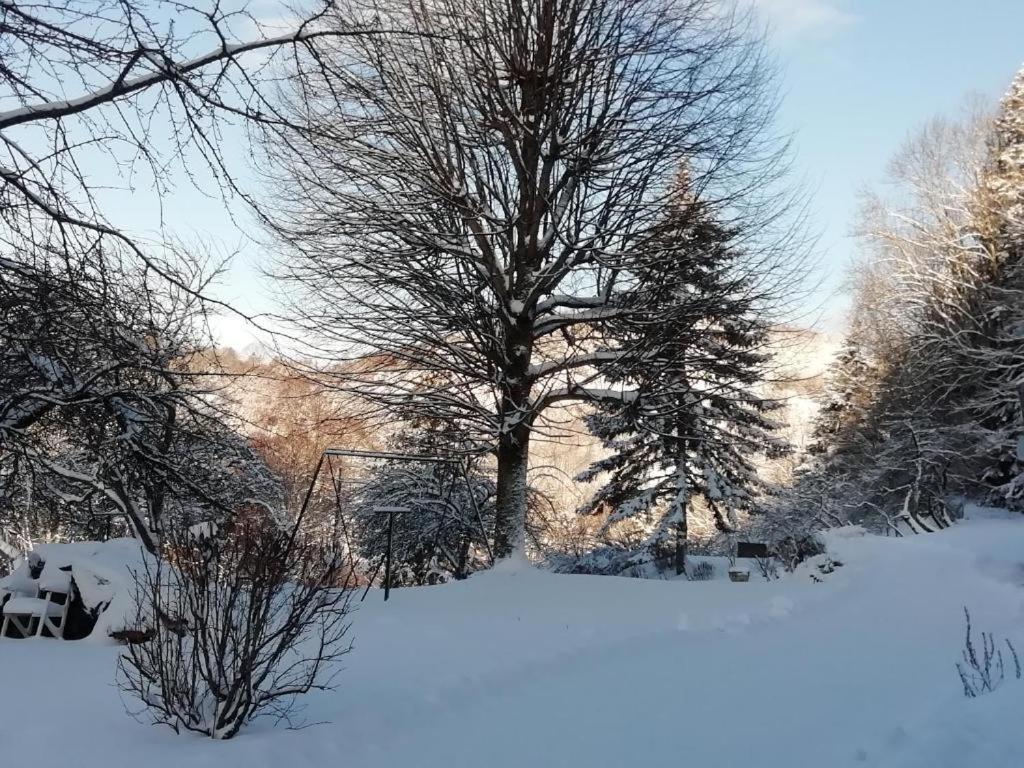 Apartamento Le Logis Aux Digitales La Croix-aux-Mines Exterior foto