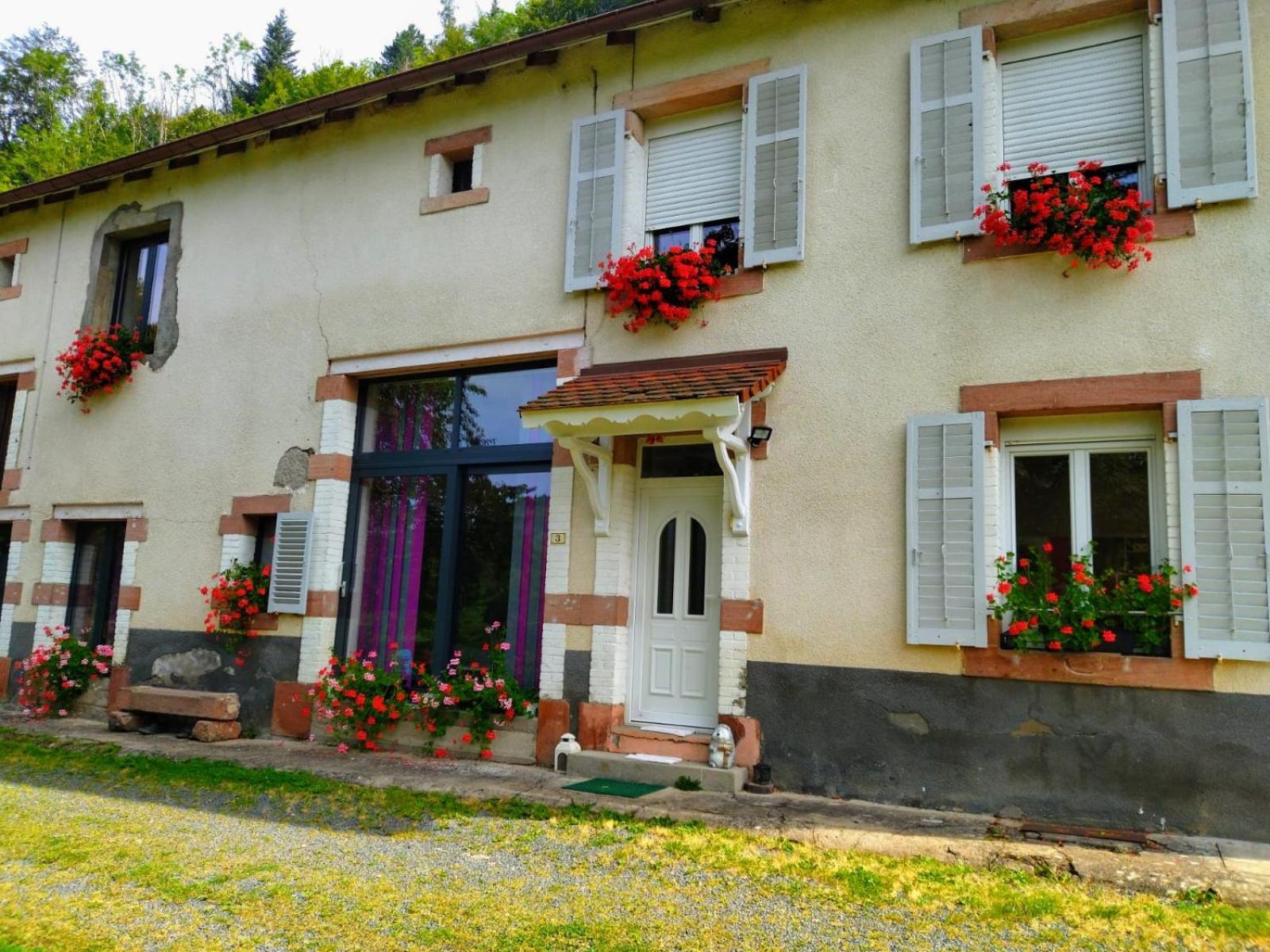 Apartamento Le Logis Aux Digitales La Croix-aux-Mines Exterior foto